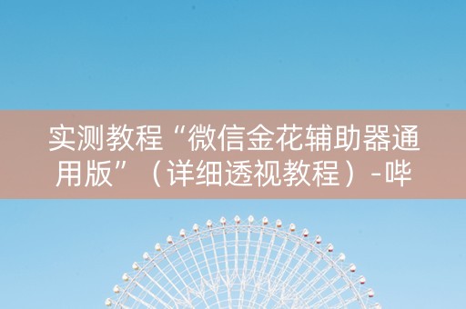 实测教程“微信金花辅助器通用版”（详细透视教程）-哔哩哔哩