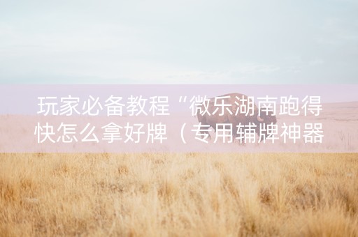 玩家必备教程“微乐湖南跑得快怎么拿好牌（专用辅牌神器免安装）