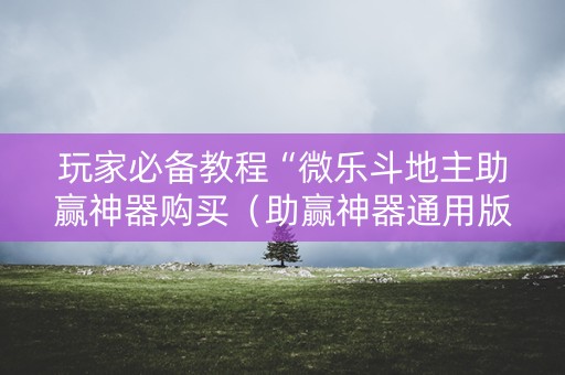 玩家必备教程“微乐斗地主助赢神器购买（助赢神器通用版）