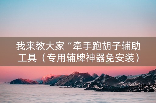 我来教大家“牵手跑胡子辅助工具（专用辅牌神器免安装）