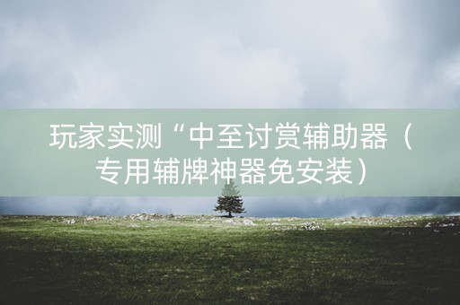 玩家实测“中至讨赏辅助器（专用辅牌神器免安装）