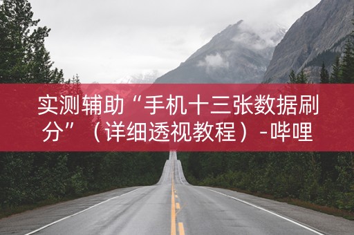 实测辅助“手机十三张数据刷分”（详细透视教程）-哔哩哔哩