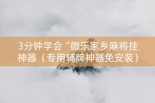 3分钟学会“微乐家乡麻将挂神器（专用辅牌神器免安装）