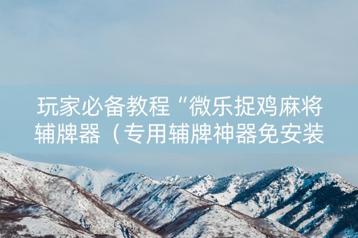 玩家必备教程“微乐捉鸡麻将辅牌器（专用辅牌神器免安装）
