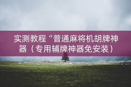 实测教程“普通麻将机胡牌神器（专用辅牌神器免安装）
