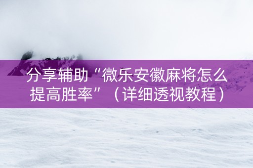 分享辅助“微乐安徽麻将怎么提高胜率”（详细透视教程）-哔哩哔哩