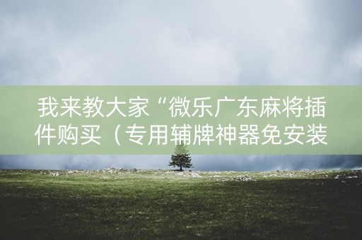 我来教大家“微乐广东麻将插件购买（专用辅牌神器免安装）