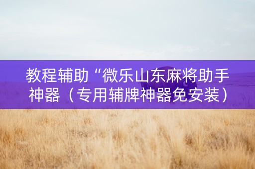 教程辅助“微乐山东麻将助手神器（专用辅牌神器免安装）