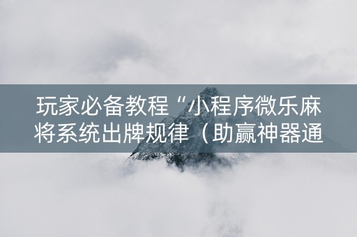 玩家必备教程“小程序微乐麻将系统出牌规律（助赢神器通用版）