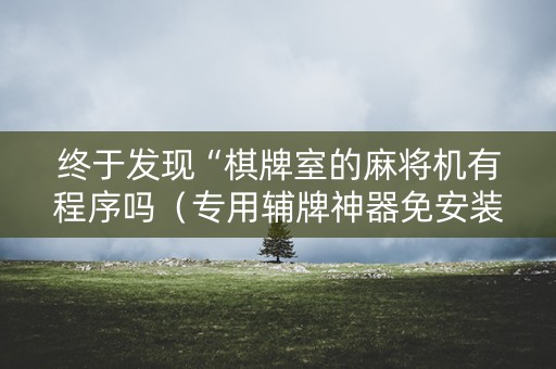 终于发现“棋牌室的麻将机有程序吗（专用辅牌神器免安装）