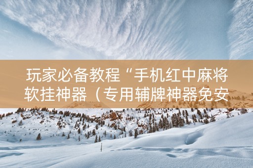 玩家必备教程“手机红中麻将软挂神器（专用辅牌神器免安装）