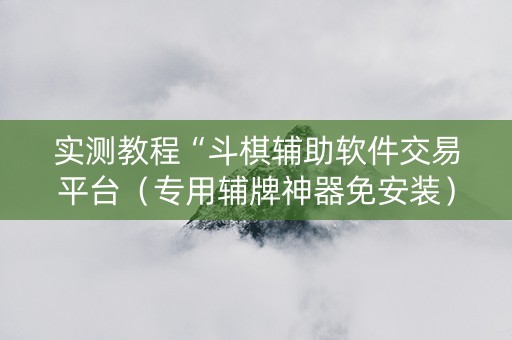 实测教程“斗棋辅助软件交易平台（专用辅牌神器免安装）