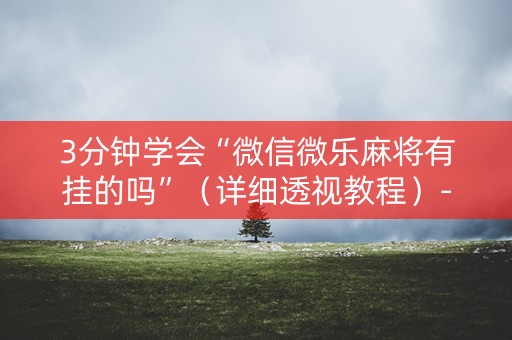 3分钟学会“微信微乐麻将有挂的吗”（详细透视教程）-哔哩哔哩
