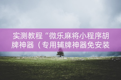 实测教程“微乐麻将小程序胡牌神器（专用辅牌神器免安装）