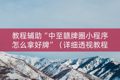 教程辅助“中至赣牌圈小程序怎么拿好牌”（详细透视教程）-哔哩哔哩