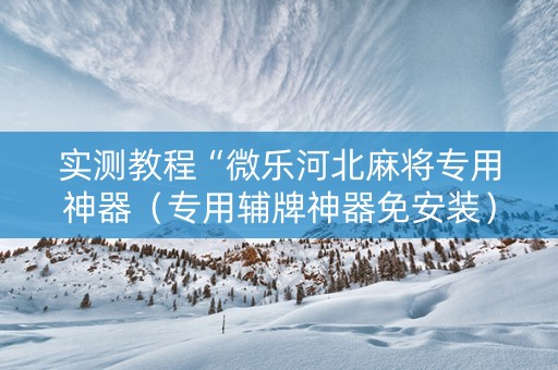 实测教程“微乐河北麻将专用神器（专用辅牌神器免安装）