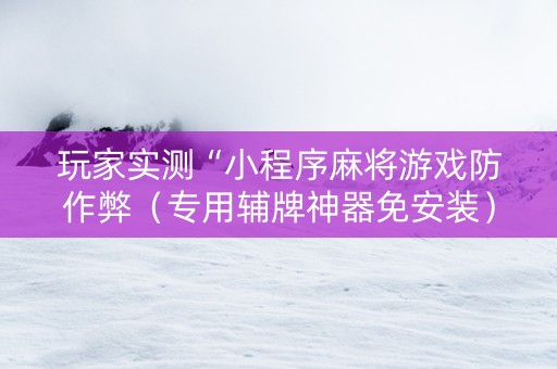 玩家实测“小程序麻将游戏防作弊（专用辅牌神器免安装）