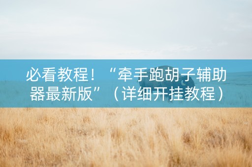 必看教程！“牵手跑胡子辅助器最新版”（详细开挂教程）-哔哩哔哩