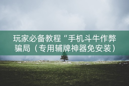 玩家必备教程“手机斗牛作弊骗局（专用辅牌神器免安装）