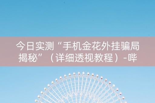 今日实测“手机金花外挂骗局揭秘”（详细透视教程）-哔哩哔哩