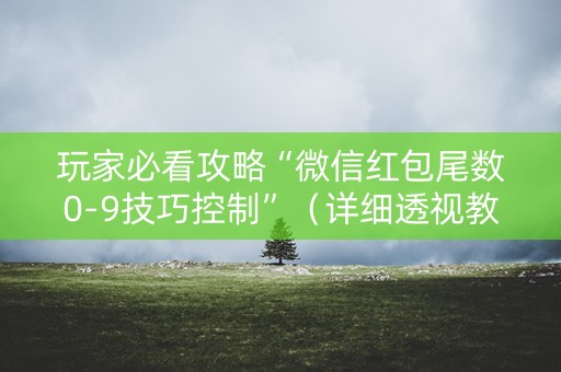 玩家必看攻略“微信红包尾数0-9技巧控制”（详细透视教程）-哔哩哔哩