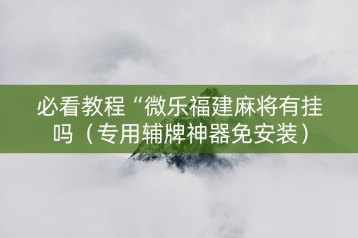 必看教程“微乐福建麻将有挂吗（专用辅牌神器免安装）