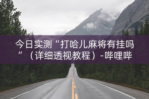 今日实测“打哈儿麻将有挂吗”（详细透视教程）-哔哩哔哩