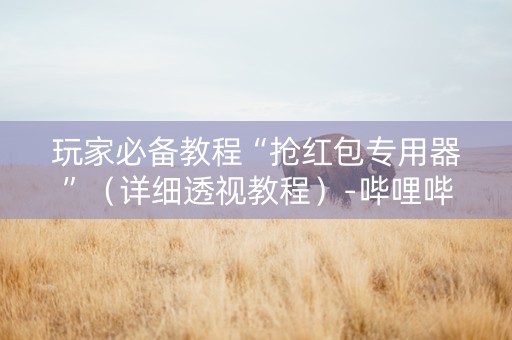 玩家必备教程“抢红包专用器”（详细透视教程）-哔哩哔哩