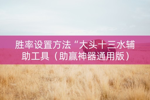 胜率设置方法“大头十三水辅助工具（助赢神器通用版）