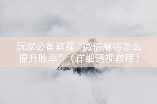 玩家必备教程“微信麻将怎么提升胜率”（详细透视教程）-哔哩哔哩