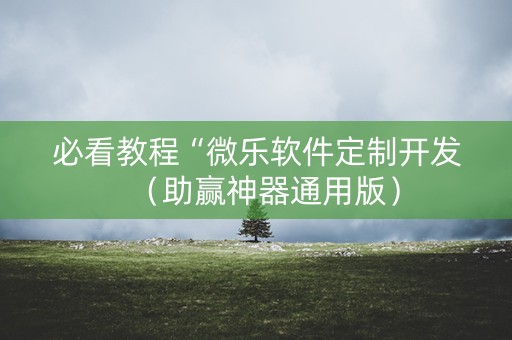 必看教程“微乐软件定制开发（助赢神器通用版）
