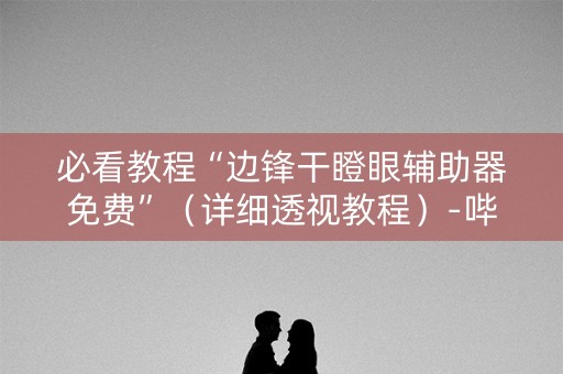 必看教程“边锋干瞪眼辅助器免费”（详细透视教程）-哔哩哔哩