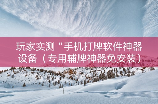 玩家实测“手机打牌软件神器设备（专用辅牌神器免安装）