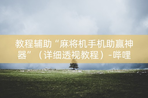 教程辅助“麻将机手机助赢神器”（详细透视教程）-哔哩哔哩