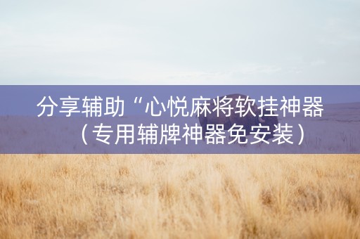 分享辅助“心悦麻将软挂神器（专用辅牌神器免安装）