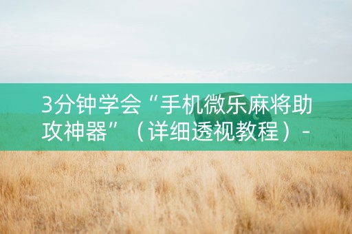 3分钟学会“手机微乐麻将助攻神器”（详细透视教程）-哔哩哔哩
