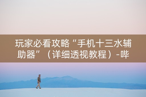 玩家必看攻略“手机十三水辅助器”（详细透视教程）-哔哩哔哩