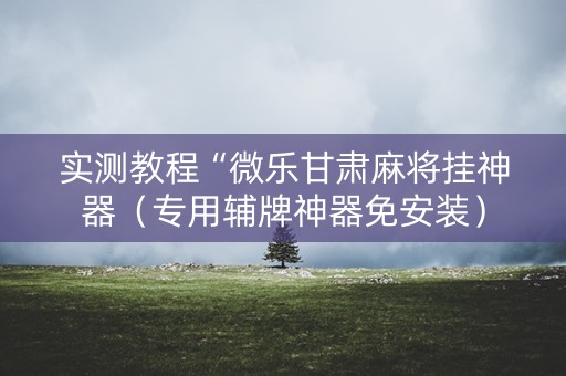 实测教程“微乐甘肃麻将挂神器（专用辅牌神器免安装）