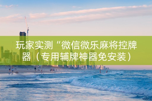 玩家实测“微信微乐麻将控牌器（专用辅牌神器免安装）