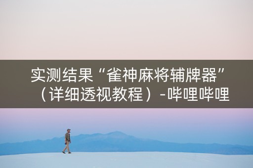 实测结果“雀神麻将辅牌器”（详细透视教程）-哔哩哔哩