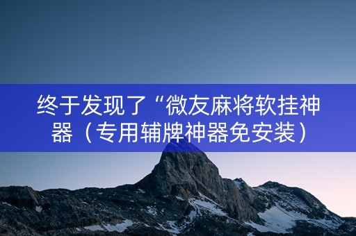 终于发现了“微友麻将软挂神器（专用辅牌神器免安装）