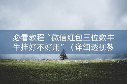 必看教程“微信红包三位数牛牛挂好不好用”（详细透视教程）-哔哩哔哩