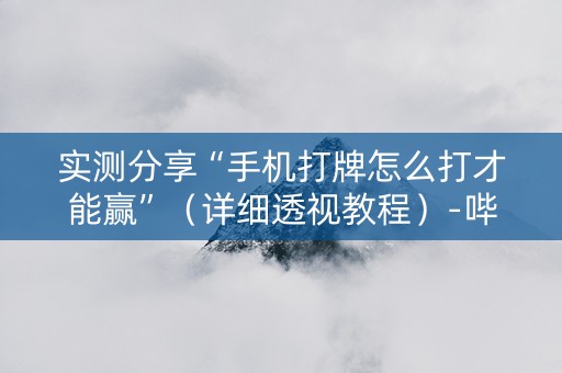 实测分享“手机打牌怎么打才能赢”（详细透视教程）-哔哩哔哩