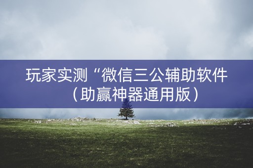 玩家实测“微信三公辅助软件（助赢神器通用版）