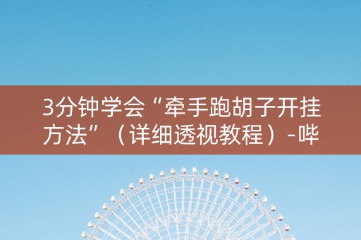 3分钟学会“牵手跑胡子开挂方法”（详细透视教程）-哔哩哔哩