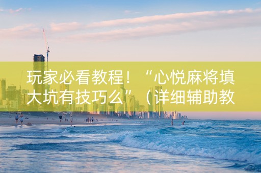 玩家必看教程！“心悦麻将填大坑有技巧么”（详细辅助教程）-哔哩哔哩
