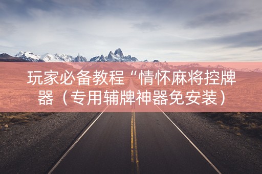 玩家必备教程“情怀麻将控牌器（专用辅牌神器免安装）