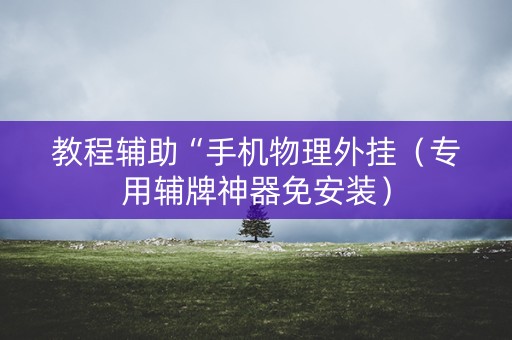 教程辅助“手机物理外挂（专用辅牌神器免安装）