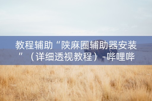 教程辅助“陕麻圈辅助器安装”（详细透视教程）-哔哩哔哩