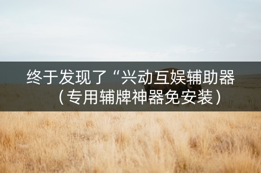 终于发现了“兴动互娱辅助器（专用辅牌神器免安装）